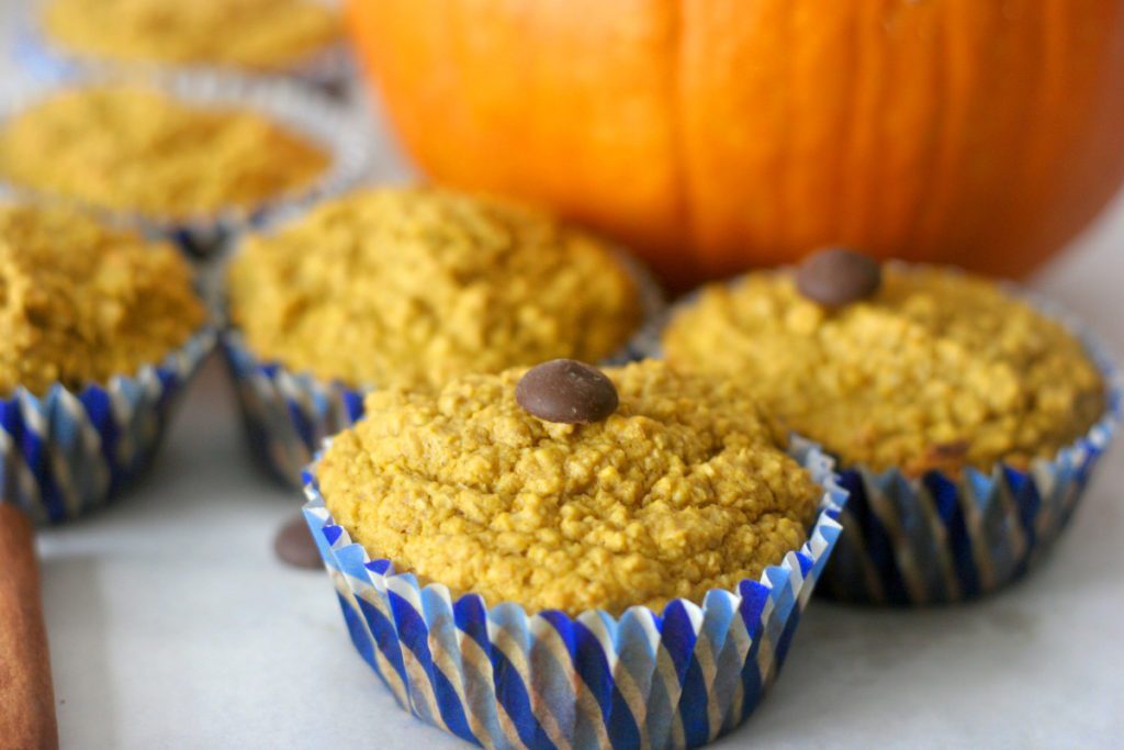 chocolate-pumpkin-muffins