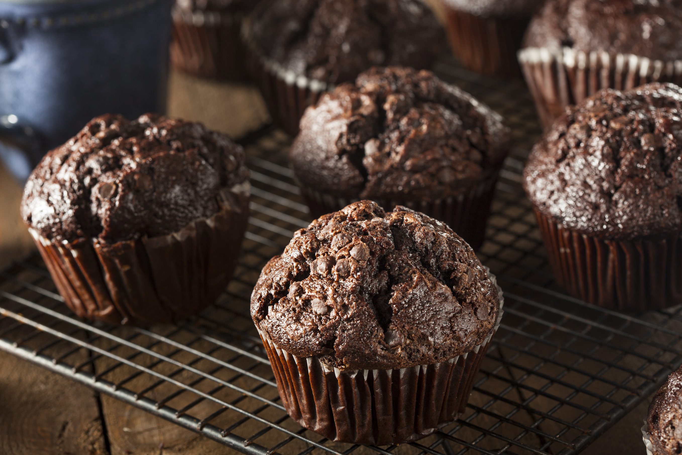 chocolate protein healthy muffins
