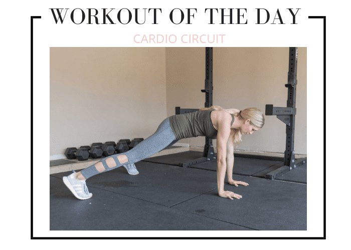 lauren gleisberg plank workout