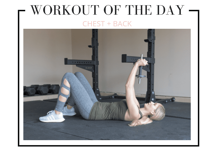 lauren gleisberg chest and back workout