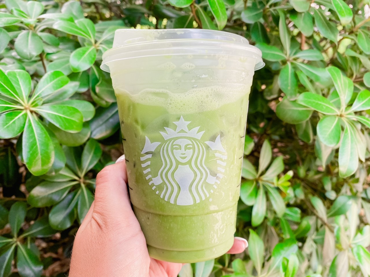 Green Drink Recipes from coffee shops | Iced version Matcha Varies  : ICED MATCHA LATTE